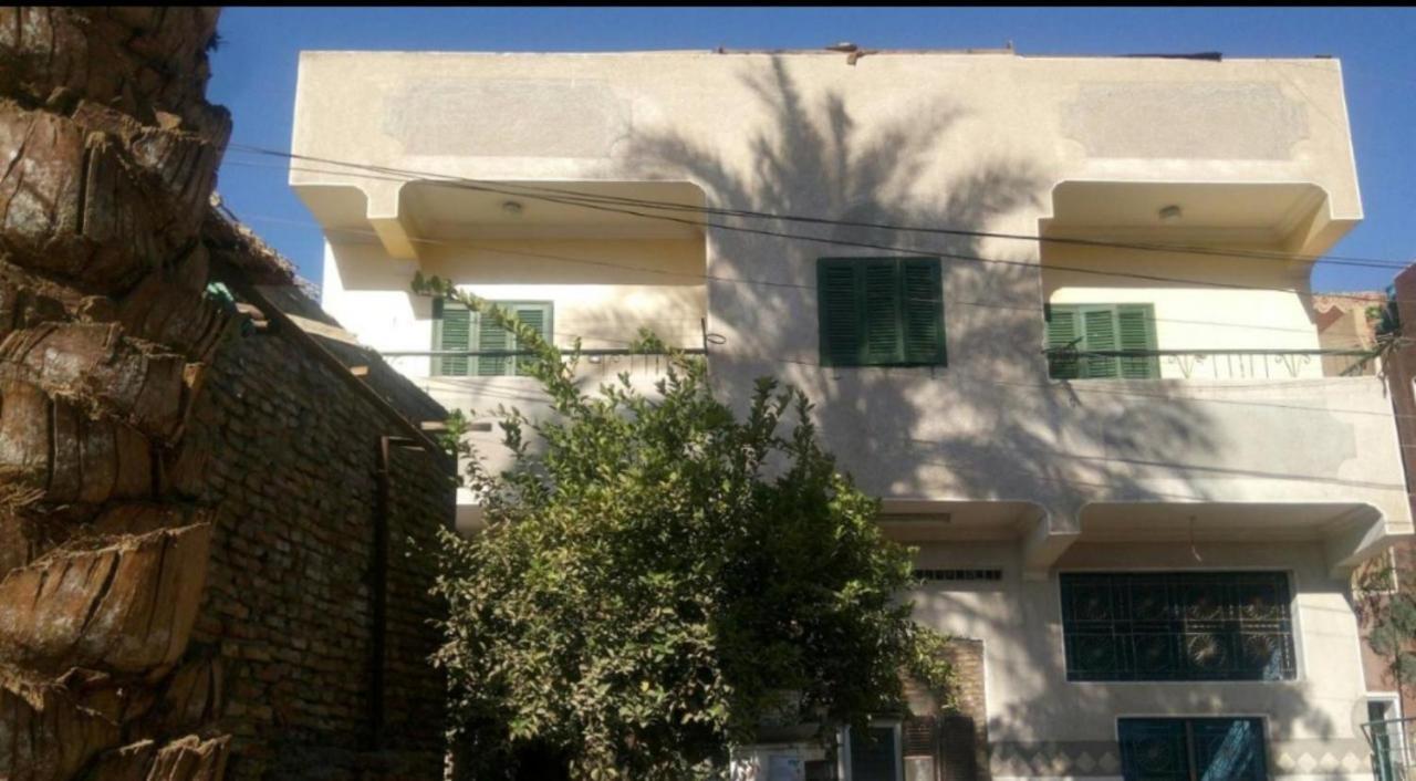 فندق Mastonkel أسوان المظهر الخارجي الصورة